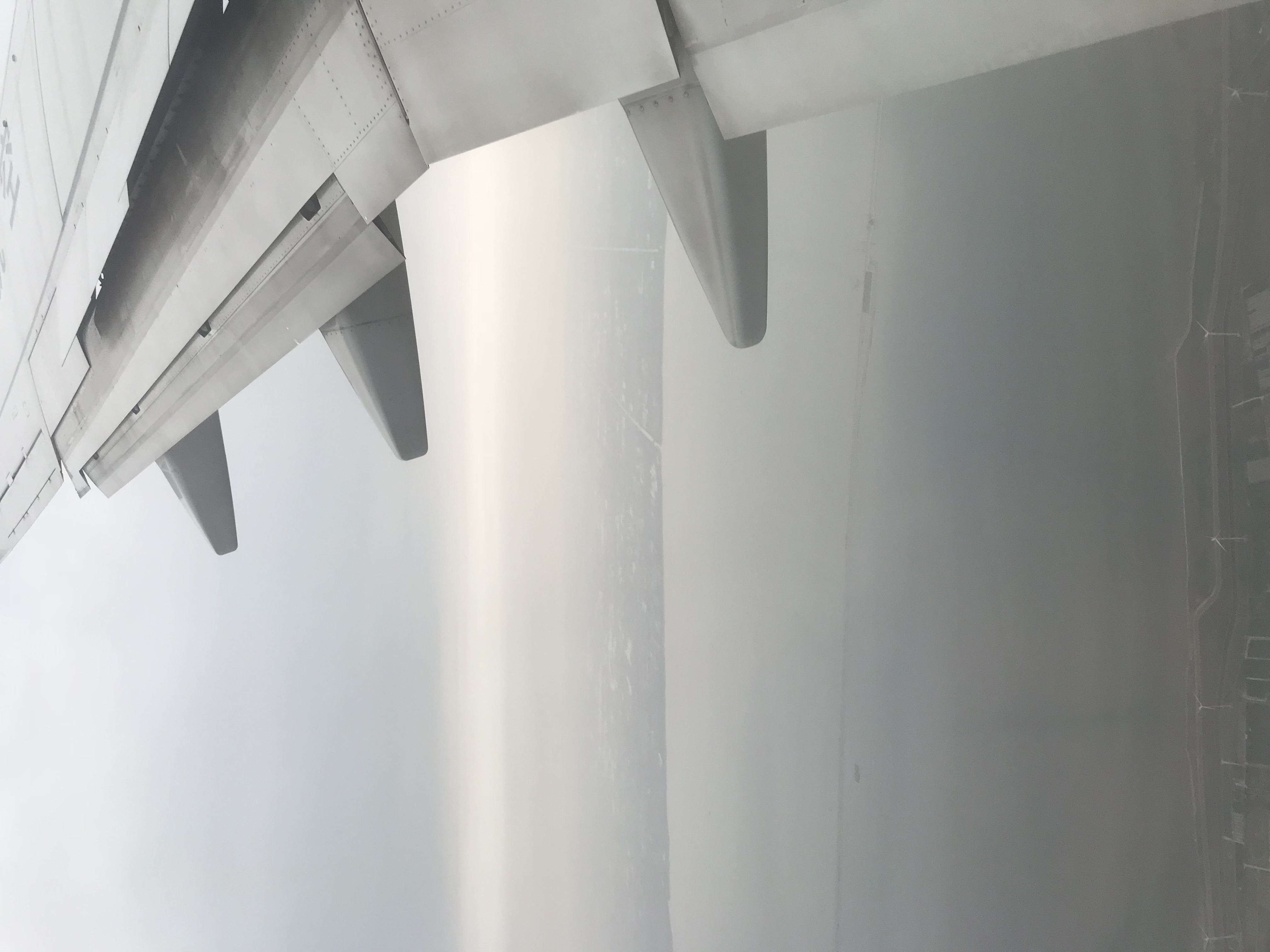 ./2018/03 - Viking China/22 - Shanghai Day 1/IMG_9609.JPG